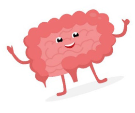 Gut microorganisms and healthy eating