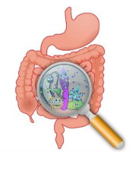 Probiotics: food and supplements